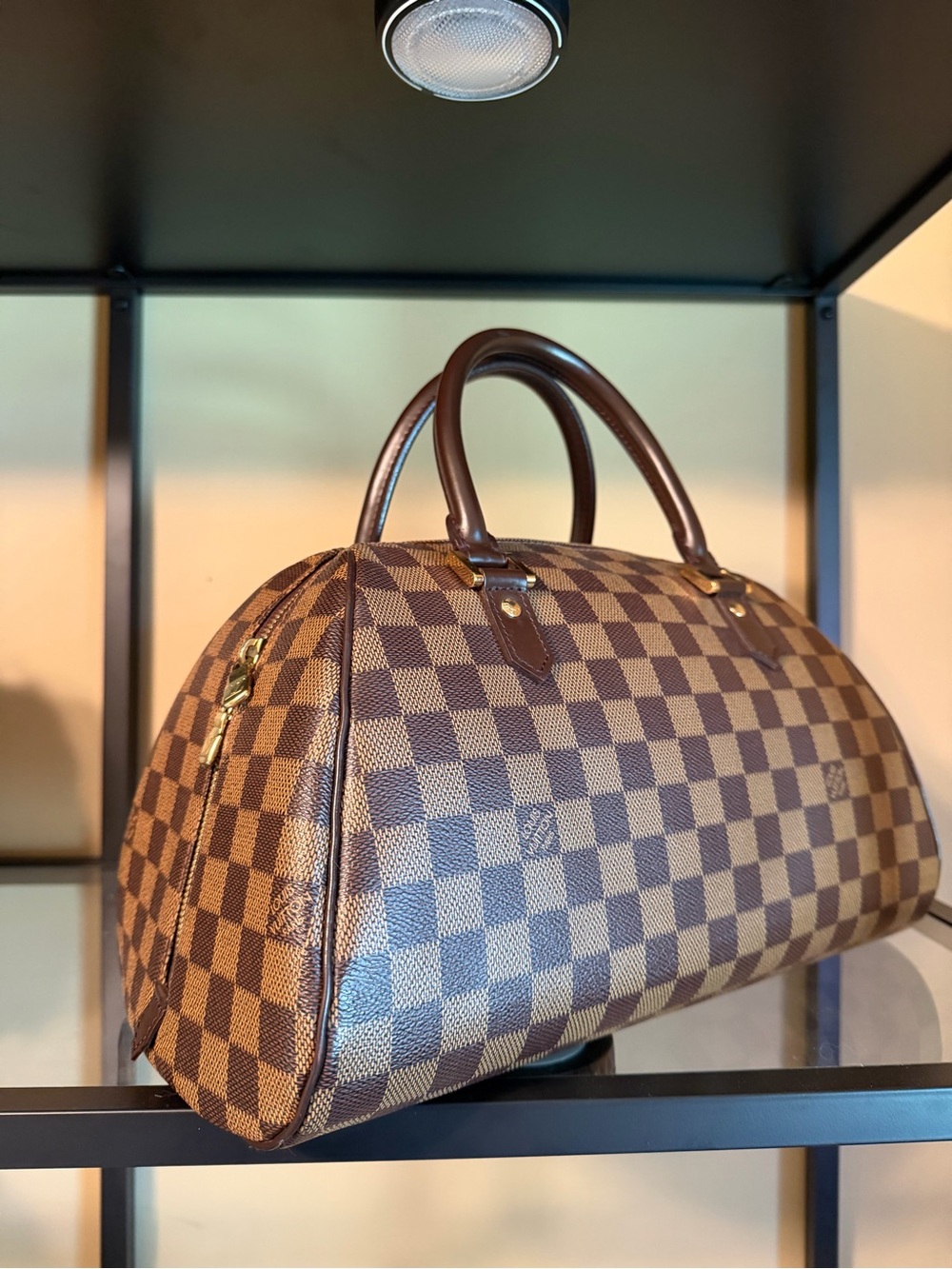 Louis Vuitton Damier Ebene Ribera MM